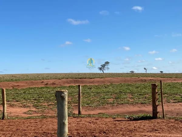 Fazenda á Venda em SP !