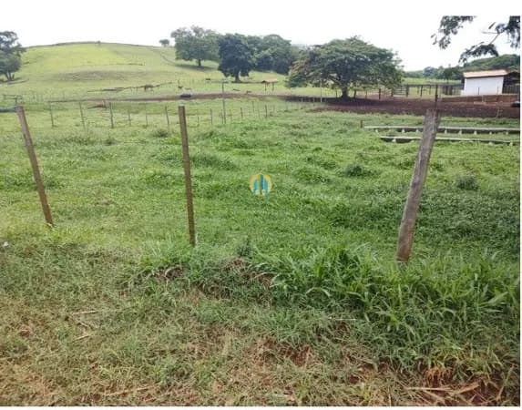 Fazenda/Sítios/Chácaras em Pradópolis - Centro