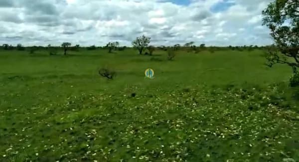 Fazenda á Venda em MT !