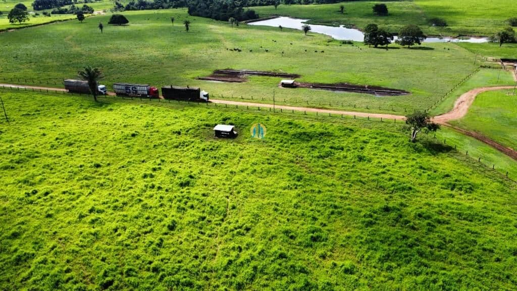 Fazenda Lavoura JUARA MT