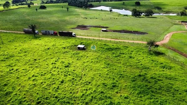 Fazenda Lavoura JUARA MT