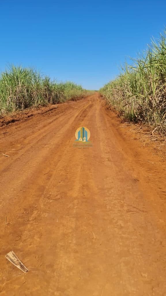 Fazenda/Sítios/Chácaras em Santa Helena de Goiás - Centro