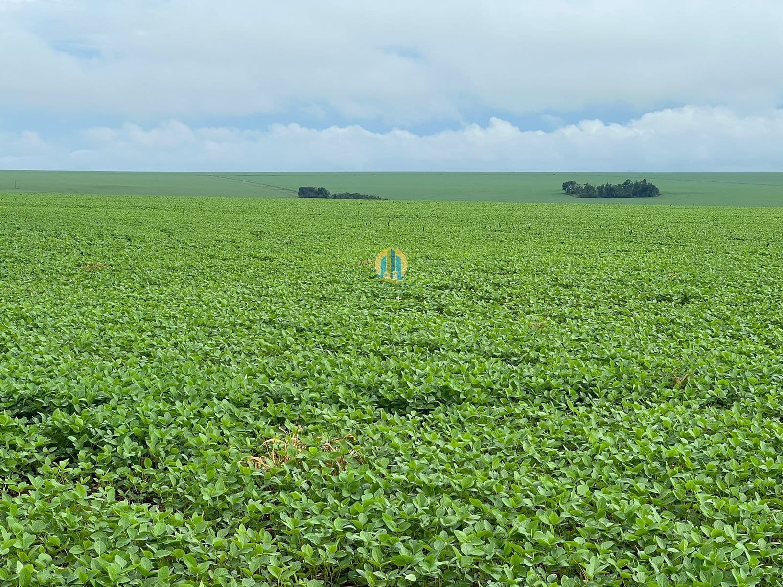 Fazenda/Sítios/Chácaras em Montividiu - Centro