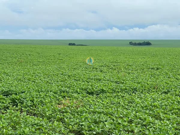 Fazenda/Sítios/Chácaras em Montividiu - Centro