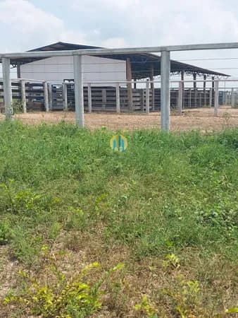 Fazenda/Sítios/Chácaras em Paraíso do Tocantins - Centro