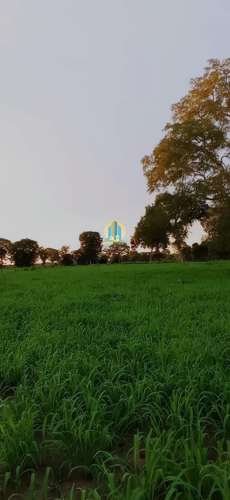 Fazenda santa catarina