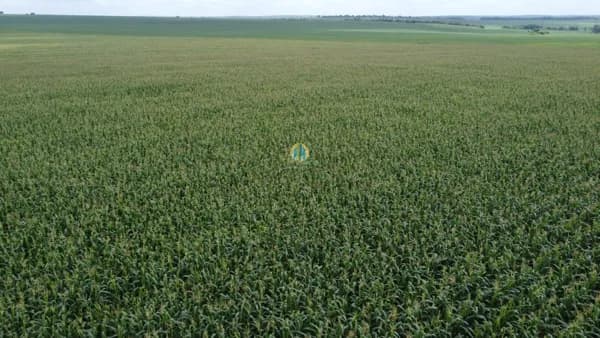 Fazenda/Sítios/Chácaras em Araguaína - Loteamento Araguaína Sul