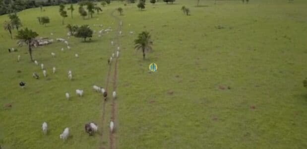 Fazenda/Sítios/Chácaras em Guapó - Centro