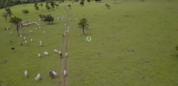 Fazenda/Sítios/Chácaras em Guapó - Centro