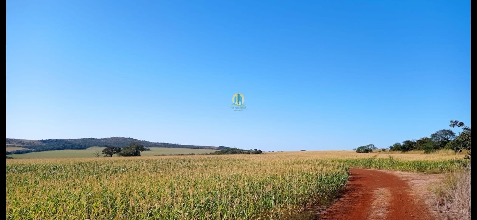 Fazenda/Sítios/Chácaras em Doverlândia - Centro