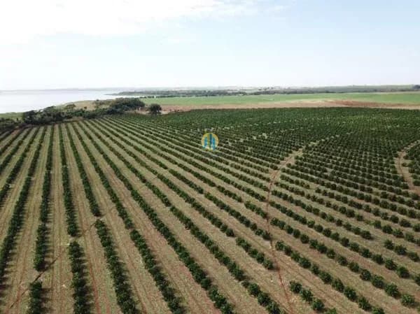 Fazenda á venda em São Paulo !