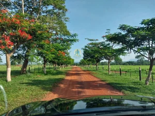 Fazenda/Sítios/Chácaras em Cuiabá - Alvorada