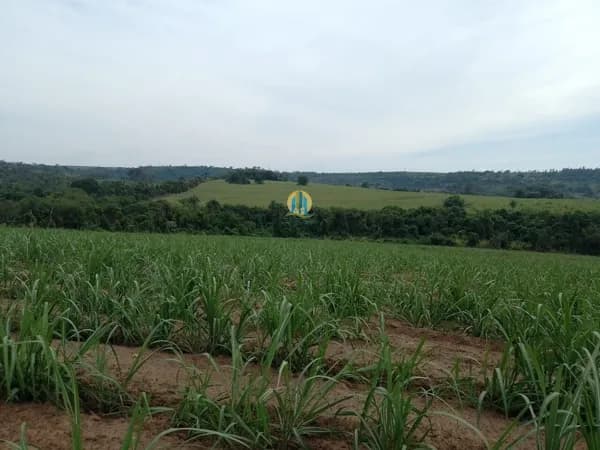 Fazenda/Sítios/Chácaras em Araras - Centro