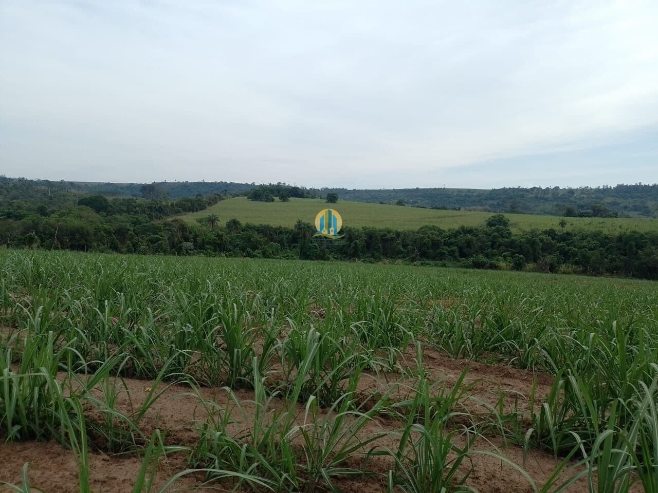 Fazenda/Sítios/Chácaras em Araras - Centro