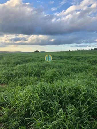Fazenda/Sítios/Chácaras em Marília - Marília