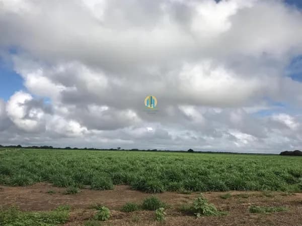 Fazenda/Sítios/Chácaras em Barreiras - Centro