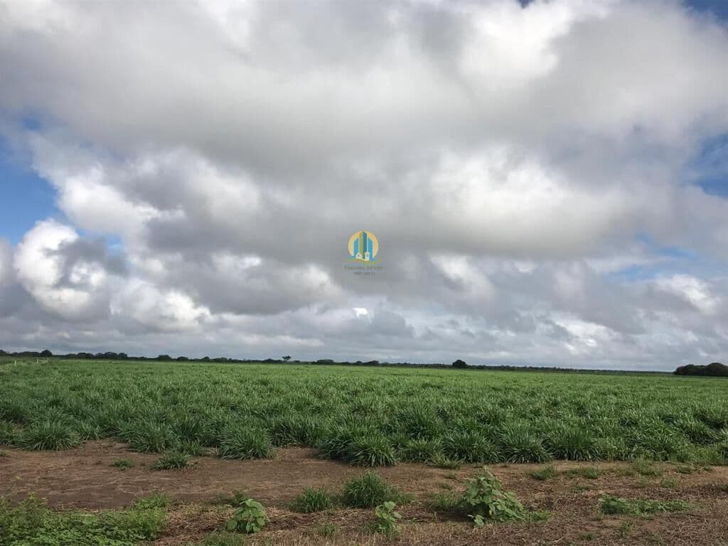 Fazenda/Sítios/Chácaras em Barreiras - Centro