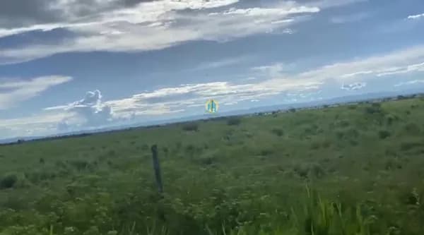 Fazenda/Sítios/Chácaras em Goiás - Centro