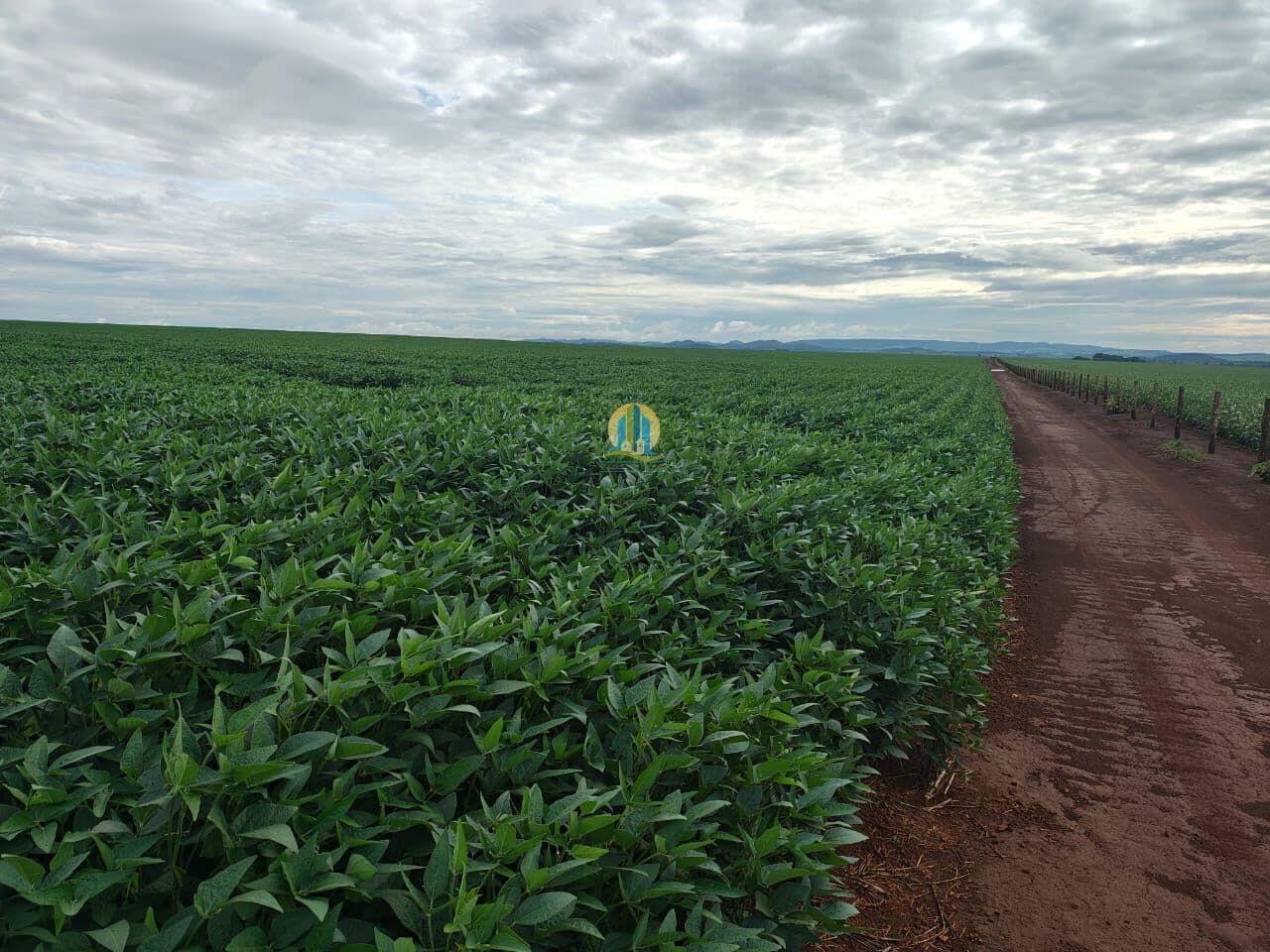 Fazenda/Sítios/Chácaras em Doverlândia - Centro