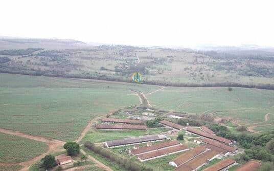 Fazenda/Sítios/Chácaras em Conceição das Alagoas - Centro