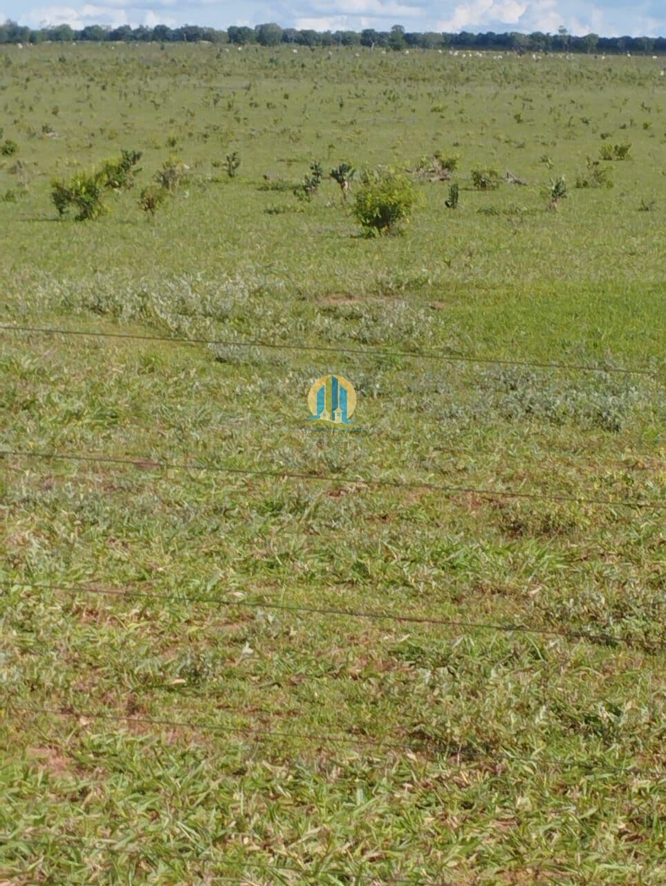 Fazenda/Sítios/Chácaras em Ribas do Rio Pardo - Centro