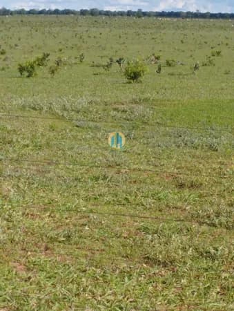 Fazenda/Sítios/Chácaras em Ribas do Rio Pardo - Centro