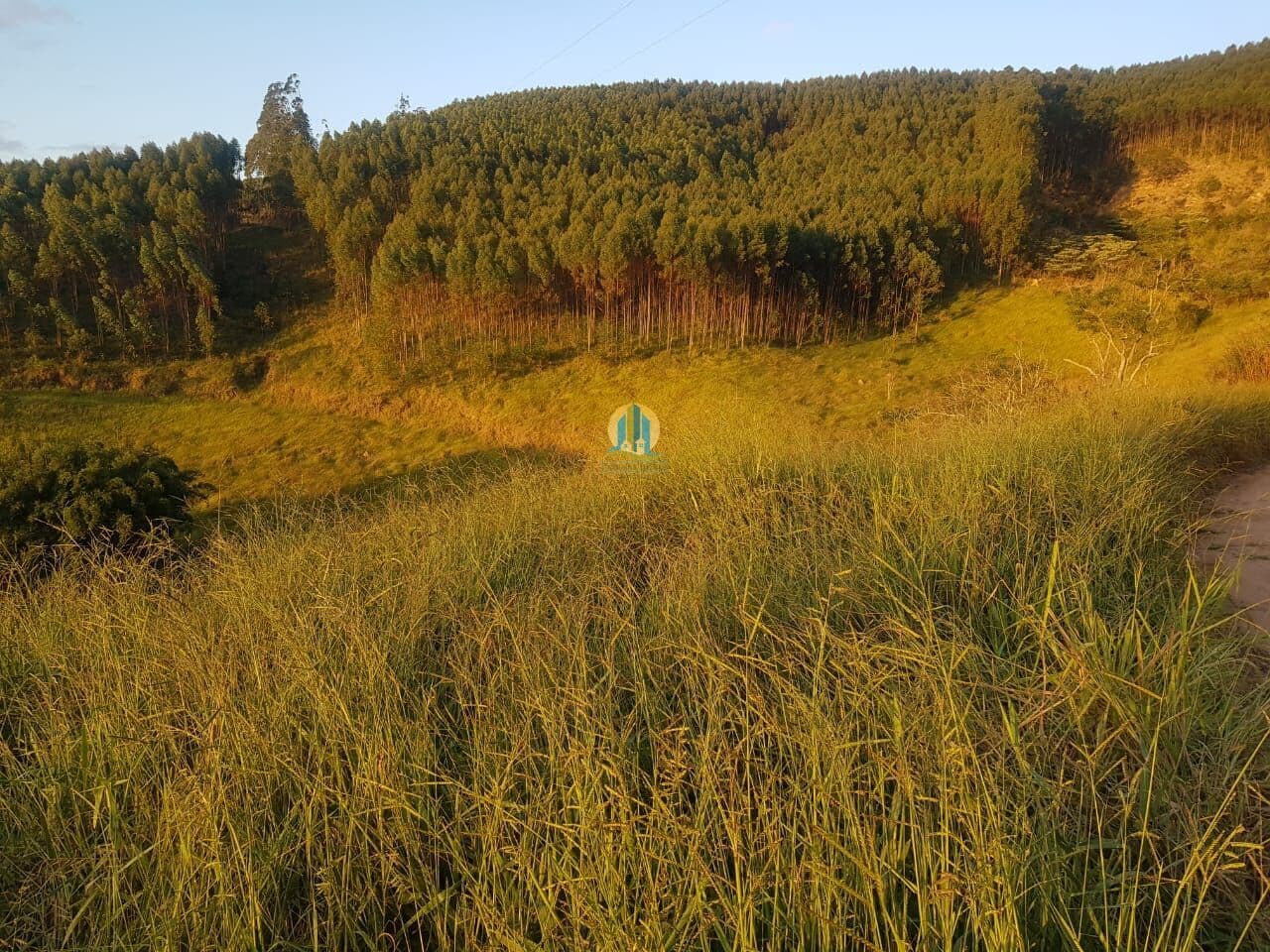 Fazenda/Sítios/Chácaras em Paraibuna - Centro