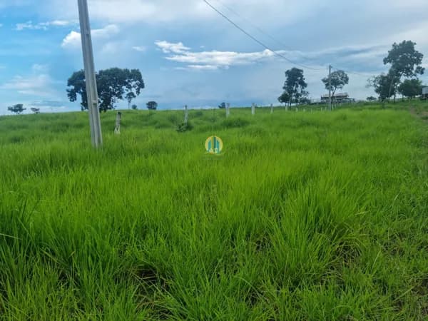 Fazenda/Sítios/Chácaras em Lagoa da Confusão - Centro