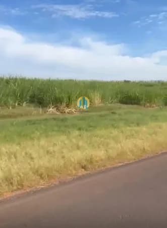 Fazenda/Sítios/Chácaras em Echaporã - Centro