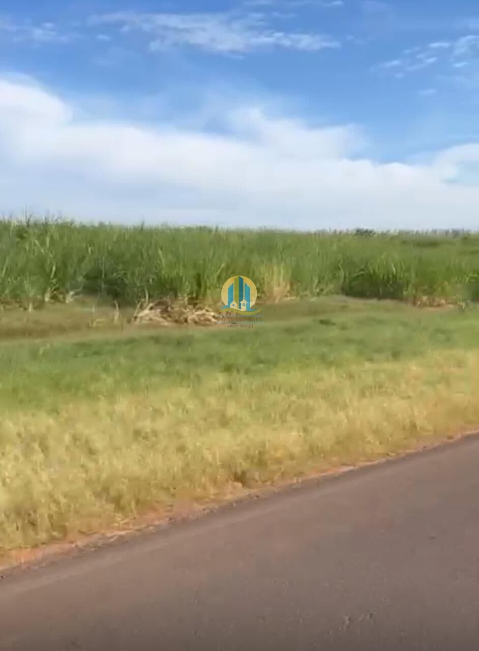 Fazenda/Sítios/Chácaras em Echaporã - Centro