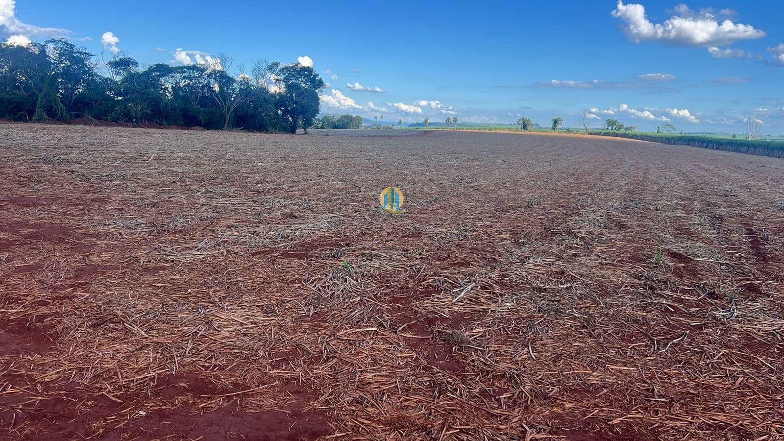 Fazenda/Sítios/Chácaras em Batatais - Centro