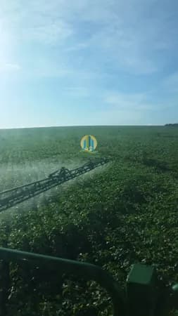 Fazenda/Sítios/Chácaras em Sorriso - Centro