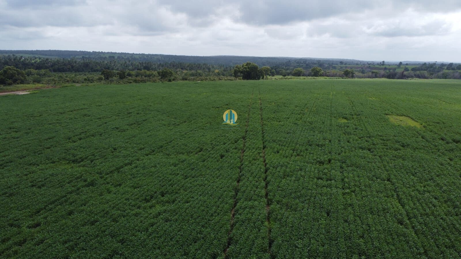 Fazenda á venda !
