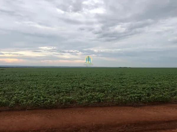 Fazenda/Sítios/Chácaras em Sinop - Área Rural de Sinop
