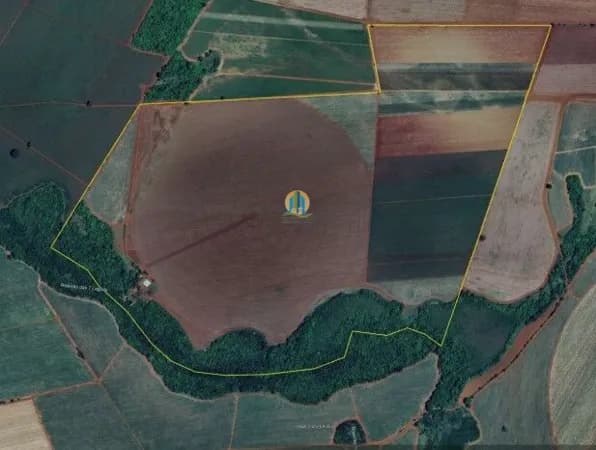 Fazenda/Sítios/Chácaras em Miguelópolis - Centro