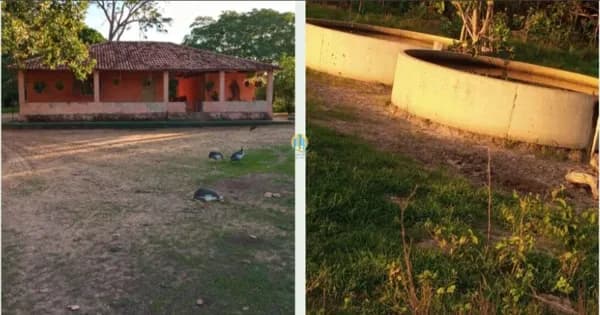 Fazenda/Sítios/Chácaras em Cocalinho - Centro