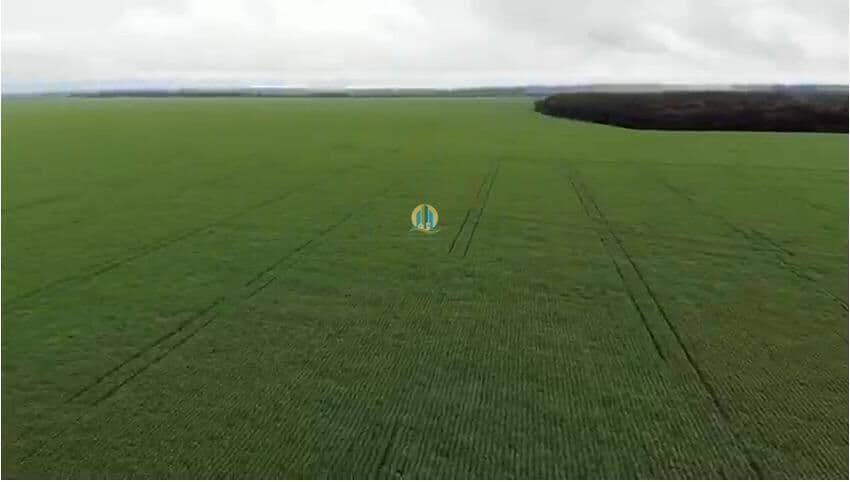 Fazenda/Sítios/Chácaras em Paranatinga - Santiago do Norte