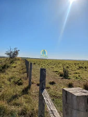 Fazenda/Sítios/Chácaras em São Gabriel do Oeste - Centro