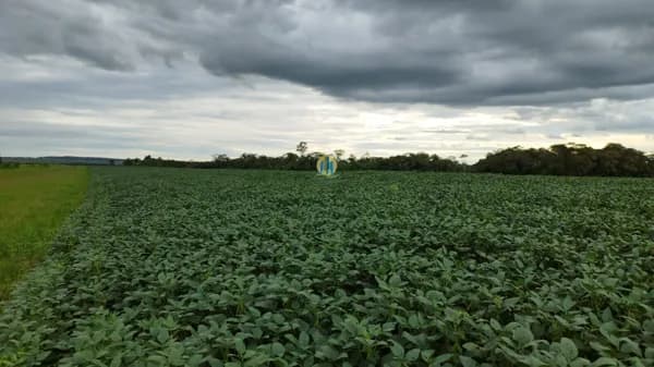 Fazenda/Sítios/Chácaras em Bonito - Centro