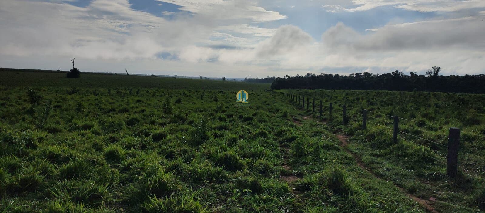 Fazenda/Sítios/Chácaras em Marcelândia - Centro