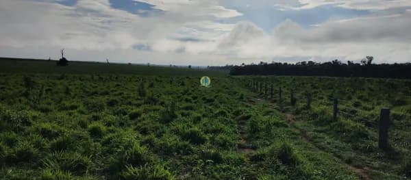 Fazenda/Sítios/Chácaras em Marcelândia - Centro
