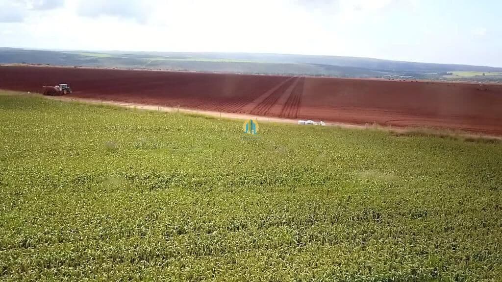 Fazenda/Sítios/Chácaras em Planaltina - Setor Oeste