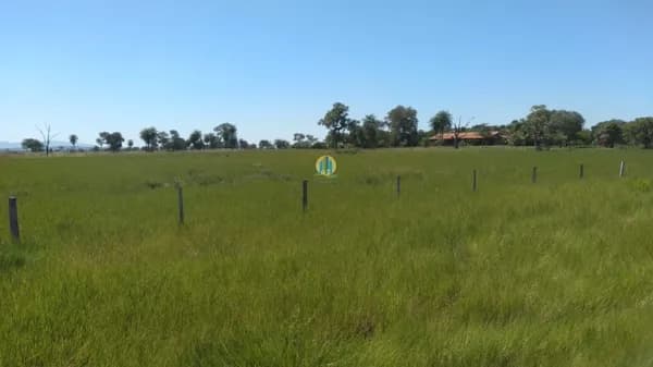 Fazenda/Sítios/Chácaras em Porto Murtinho - Centro