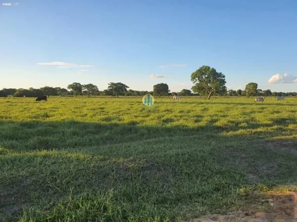 Fazenda a venda !!