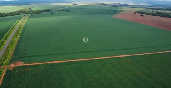 Fazenda/Sítios/Chácaras em Naviraí - Parque Beija Flor