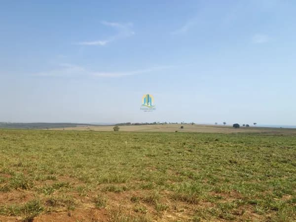 Fazenda/Sítios/Chácaras em Mogi Mirim - Centro