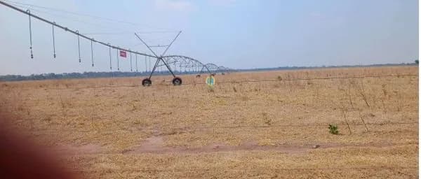 Fazenda/Sítios/Chácaras em Jussara - Centro