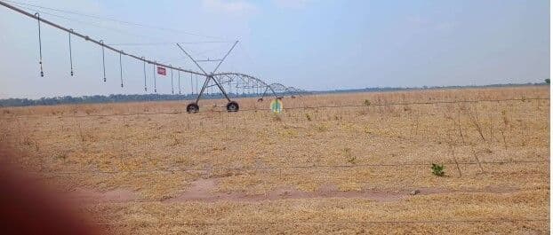 Fazenda/Sítios/Chácaras em Jussara - Centro