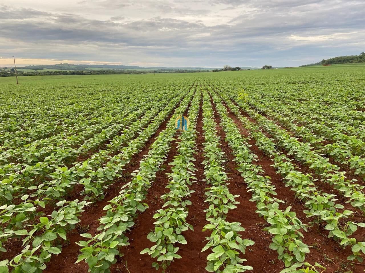 Fazenda em mato Grosso á Venda !