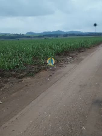 Fazenda/Sítios/Chácaras em Cajuru - Centro
